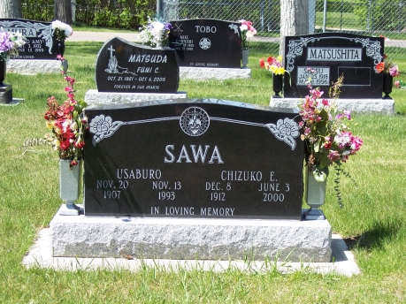 1132 – Sawa