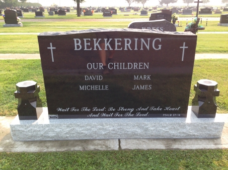 2922 – Bekkering back