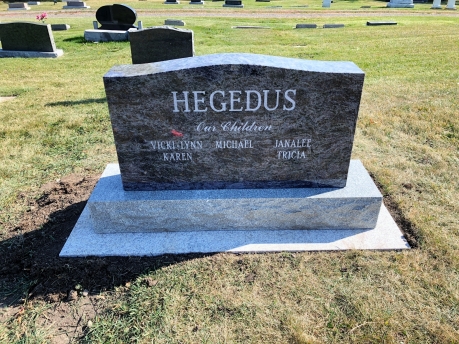 4324 – Hegedus (Back)