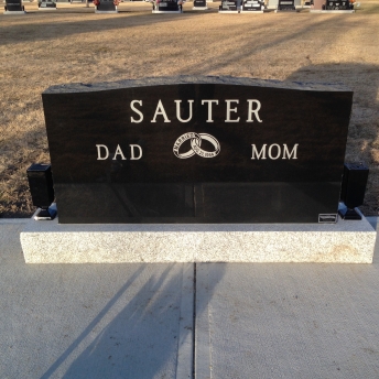 3077 – Sauter back