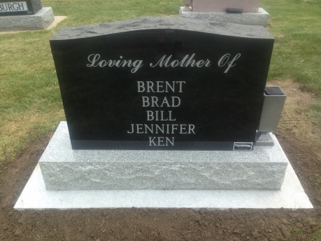 3155 – Anderson back