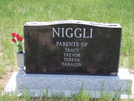 482 – Niggli back