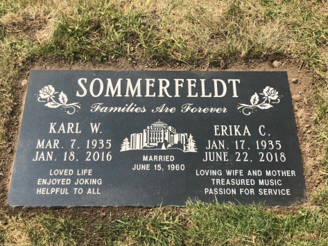 3290 – Sommerfeldt