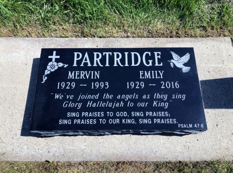 4275 – Partridge