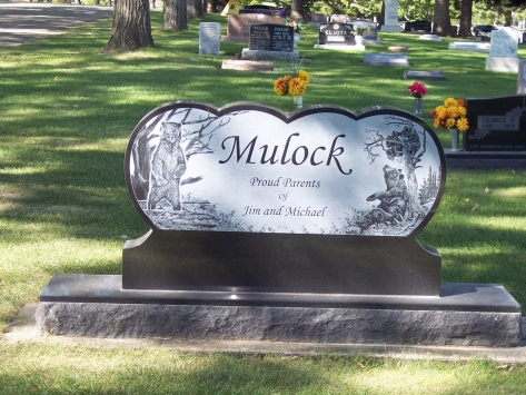 810 – Mulock