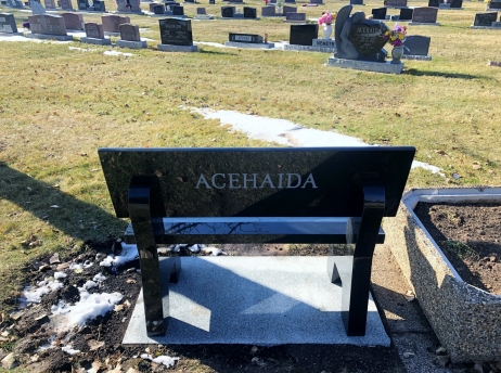 4131 – Acehaida (Back)