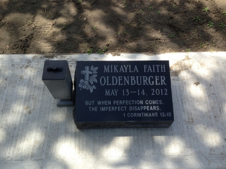 2350 – Oldenburger