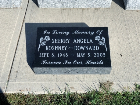 4073 – Koshney-Downard