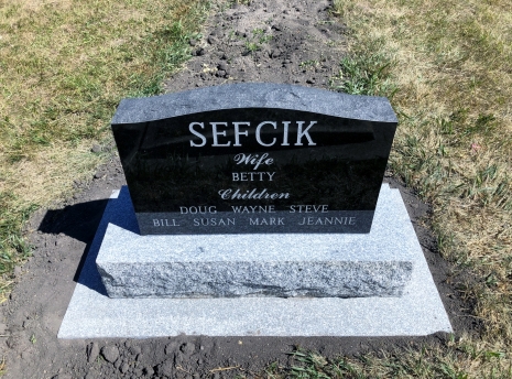 4279 – Sefcik (Back)