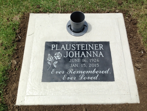 2795 – Plausteiner