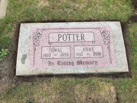 3250 – Potter