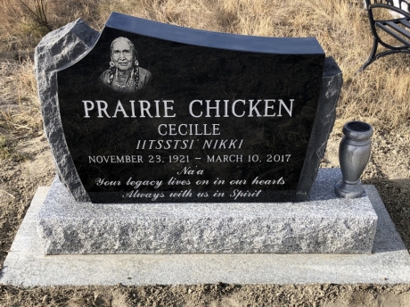 3876 – Prairie Chicken