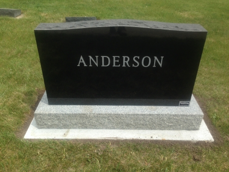 3153 – Anderson back
