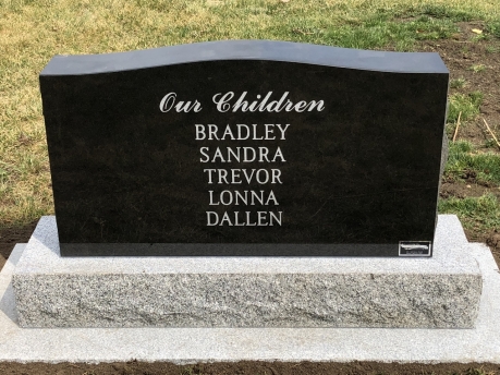 3771 – Flexhaug (Back)