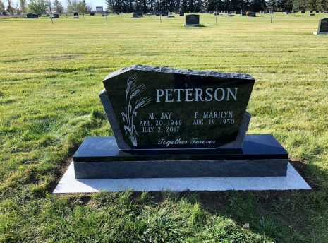 4353 – Peterson