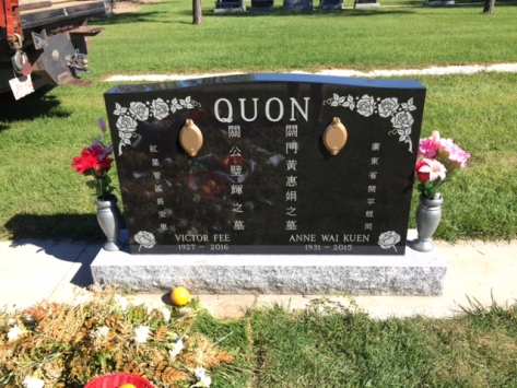 3133 – Quon