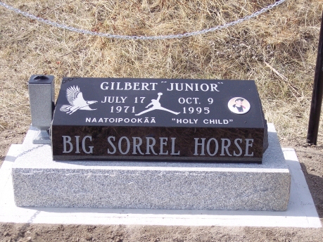 2175 – Big Sorrel Horse