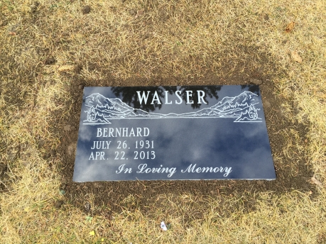2766 – WALSER