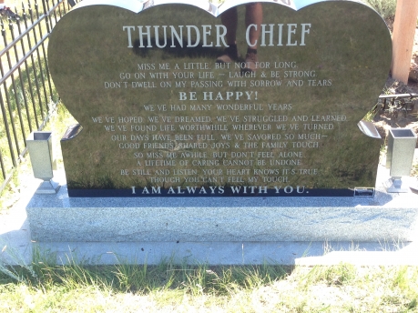 3226 – Thunder Chief
