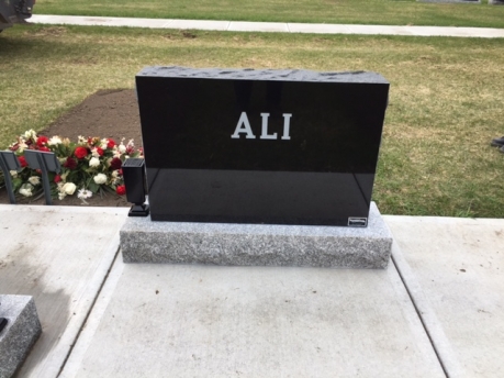 3410 – Ali (Back)