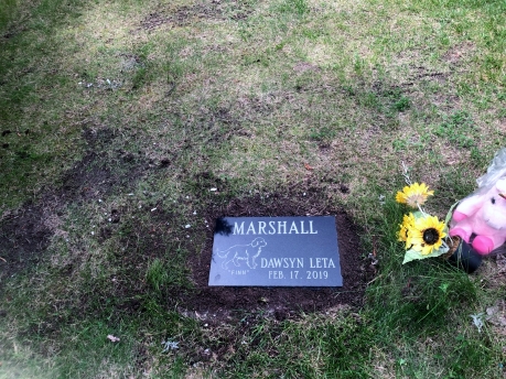 4247 – Marshall