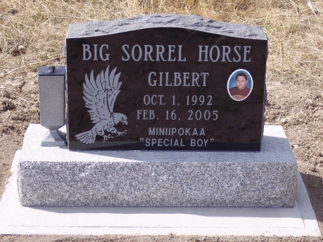 2173 – Big Sorrel Horse