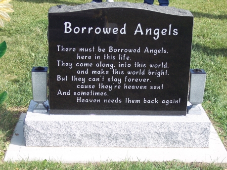 2031 – Trainer (back)