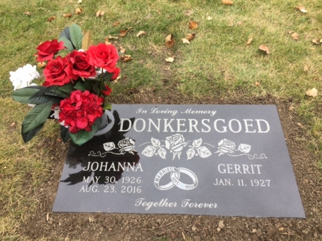 3270 – Donkersgoed