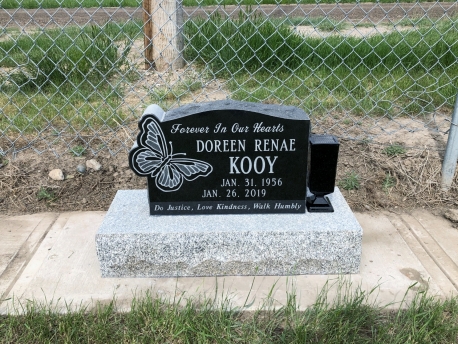 4199 – Kooy