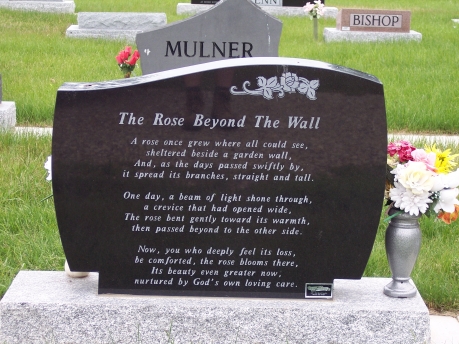 562 – Remfert back