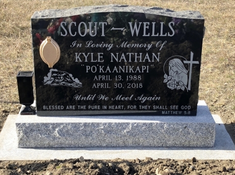 3881 – Scout-Wells