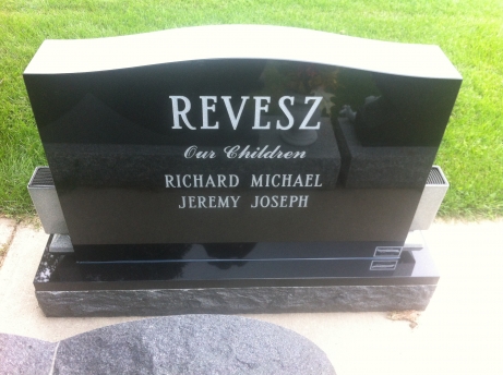 2646 – Revesz back