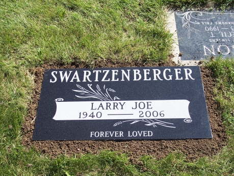 619 – Swartzenberger