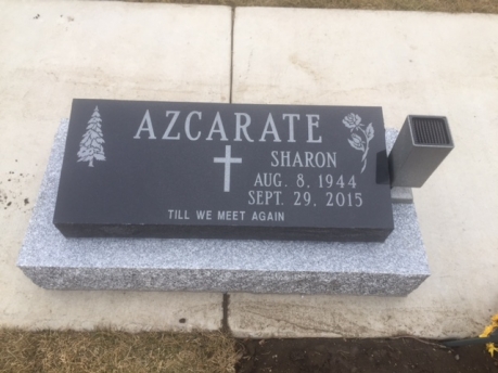 3025 – Azcarate