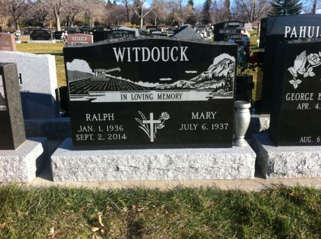 2712 – Witdouck