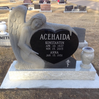 3022 – Acehaida