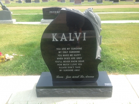 2916 – Kalvi back