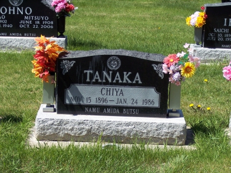 1117 – Tanaka