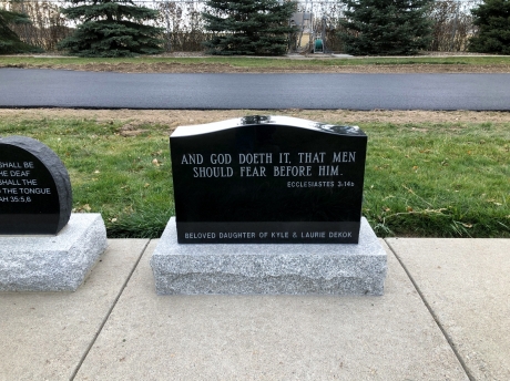 4376 – Dekok (Back)