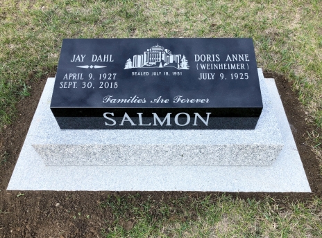 4082 – Salmon