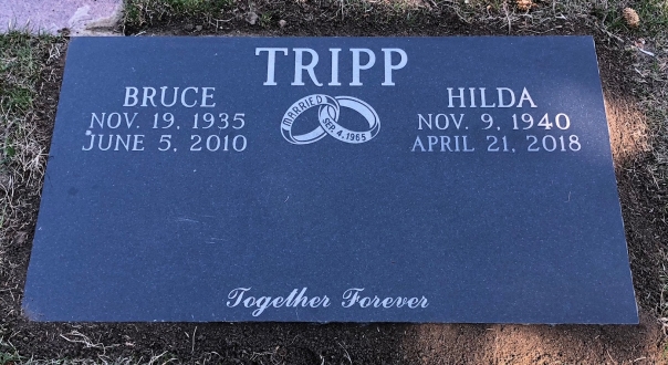 1681 – Tripp