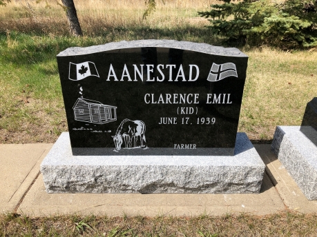 3949 – Aanestad