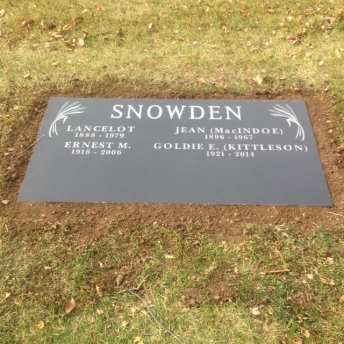 3317 – Snowden