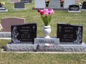 163 – HALF SERP WING