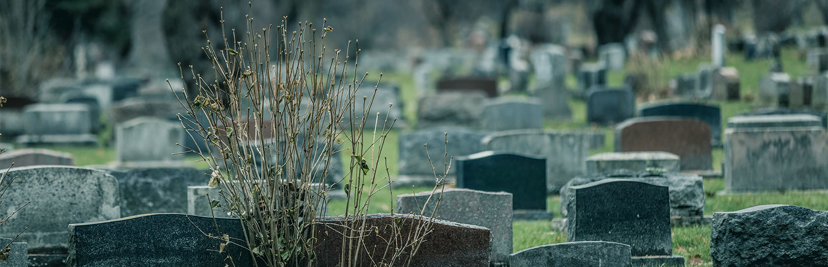 back-of-gravestones-in-a-old-cemetery-in-autumn-2026-01-05-01-07-04-utc