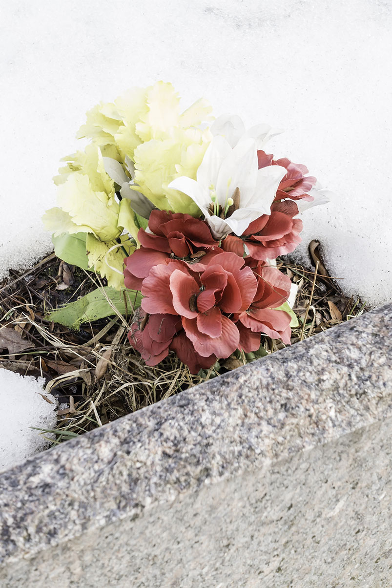 token-of-remembrance-in-winter-small-bouquet-of-f-2026-01-11-09-43-13-utc-vertical