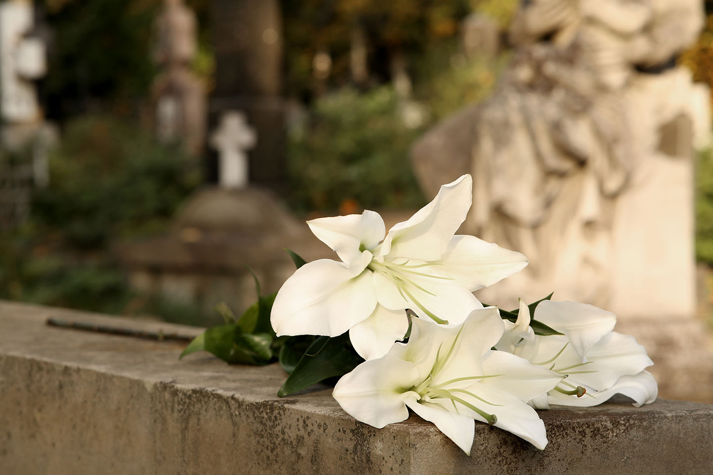 white-lilies-on-grey-tombstone-outdoors-space-for-2026-01-22-09-59-02-utc